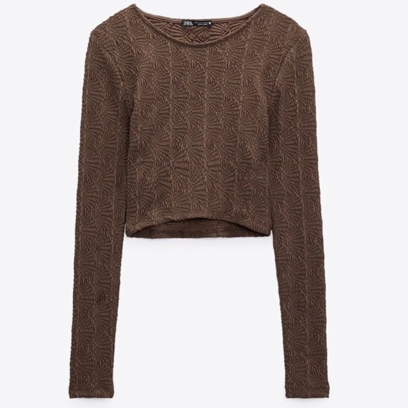Zara Textured Pointelle Brown Long Sleeve Cropped Top - Picture 1 of 8